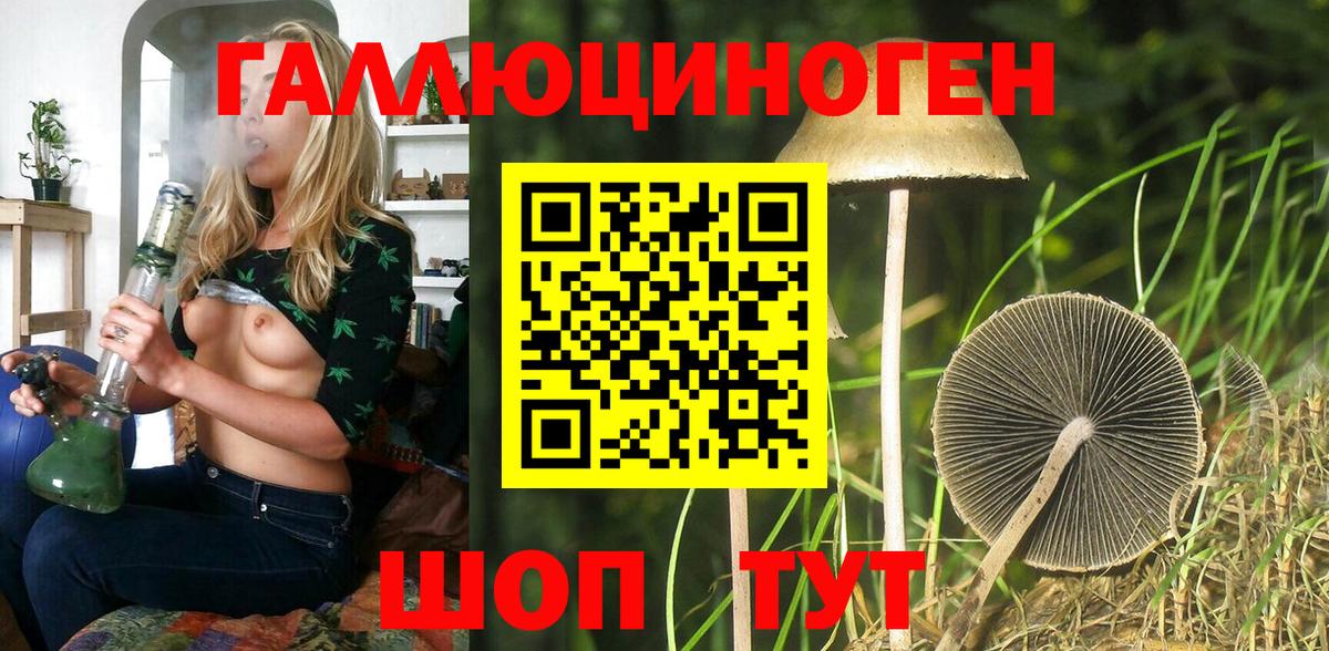 Галлюциногенные грибы Cubensis  Псилоцибиновые грибы Psilocybine cubensis  Заводоуковск  Вход с VPN 