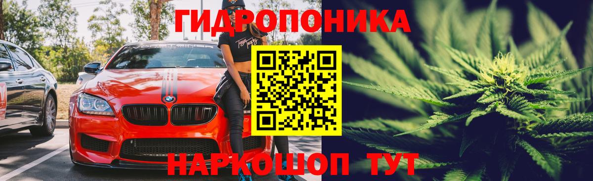 Шишки марихуана SATIVA & INDICA Заводоуковск